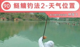 爆料鲢鳙钓法图解视频